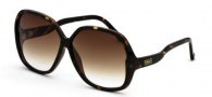 Black Flys Sunglasses Fly Palette Sunglasses - Tortoise 
