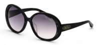Black Flys Sunglasses Shiny Fly  Sunglasses - 
