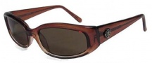 Black Flys Sunglasses Inflyt Sunglasses - Brown Gradient 