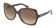 D&G DD3063 Sunglasses Sunglasses - 502/13 Havana / Brown Gradient