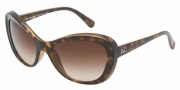 D&G DD8083 Sunglasses Sunglasses - 502/13 Havana Brown / Gradient