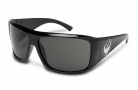 Dragon Calavera Sunglasses Sunglasses - Jet / Grey Polar 