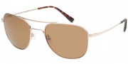 Modo Alberto Sunglasses Sunglasses - Gold / Mineral Glass Polarized Lens