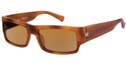 Modo Guido Sunglasses Sunglasses - Cognac / Polarized Lens