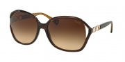 Coach HC8018 Sunglasses Natasha Sunglasses - 503513 Brown / Brown Gradient