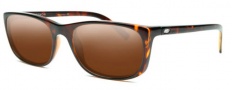Kaenon 401 Sunglasses Sunglasses - Tortoise / Copper C12