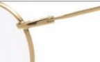Flexon Autoflex 69 Eyeglasses Eyeglasses - 714 Gold Electro Plated