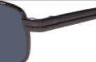 Flexon Protocol Sunglasses Sunglasses - 001 Black Chrome
