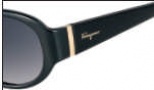 Salvatore Ferragamo SF605S Sunglasses Sunglasses - 001 Black 