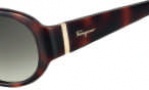 Salvatore Ferragamo SF605S Sunglasses Sunglasses - 214 Tortoise 
