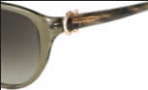 Salvatore Ferragamo SF614S Sunglasses Sunglasses - 315 Crystal Khaki Green