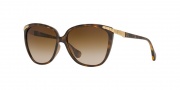 D&G DD8096 Sunglasses Sunglasses - 502/13 Havana / Brown Gradient