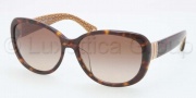 Coach HC8040BF Sunglasses Sunglasses - 503313 Dark Tortoise / Brown Gradient