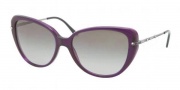 Ralph Lauren RL8094B Sunglasses Sunglasses - 539411 Transparent Violet / Gradient Grey