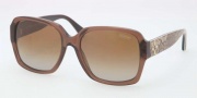 Coach HC8044 Sunglasses Sunglasses - 5106T5 Brown Khaki / Brown Gradient Polarized