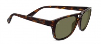 Serengeti Tommaso Sunglasses Sunglasses - 7960 Shiny Dark Tortoise / Polarized 555nm