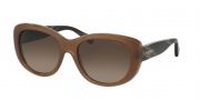 Coach HC8083 Sunglasses Darcy Sunglasses - 519213 Milky Brown Brown Horn / Dark Brown Gradient