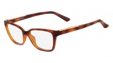Calvin Klein CK7935 Eyeglasses Eyeglasses - 240 Amber Tortoise