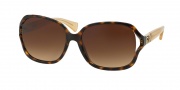 Coach HC8121 Sunglasses Carroll Sunglasses - 526413 Dark Tortoise / Honey / Brown Gradient