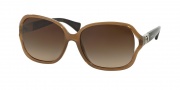 Coach HC8121 Sunglasses Carroll Sunglasses - 526513 Milky Brown / Dark Tortoise / Dark Brown Gradient