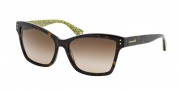 Coach HC8107 Sunglasses Archie Sunglasses - 523213 Dark Tortoise / Dark Brown Gradient
