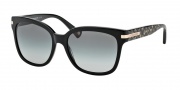 Coach HC8103 Sunglasses Alfie Sunglasses - 522611 Black / Grey Gradient