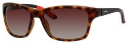 Carrera 8013/S Sunglasses Sunglasses - 06XV Havana Black (LA brown gradient polz lens)