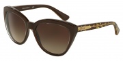 Dolce & Gabbana DG4250 Sunglasses Sunglasses - 291813 Crystal on Brown / Brown Gradient