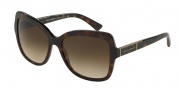 Dolce & Gabbana DG4244 Sunglasses Sunglasses - 502/13 Havana / Brown Gradient