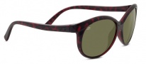 Serengeti Caterina Sunglasses Sunglasses - 8189 Shiny Red Tortoise / Polarized 555nm