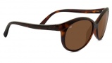 Serengeti Caterina Sunglasses Sunglasses - 8188 Shiny Dark Tortoise / Polarized Drivers