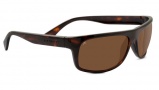 Serengeti Misano Sunglasses Sunglasses - 8176 Shiny Dark Tortoise / Polarized PhD Drivers