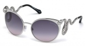 Roberto Cavalli RC890S Sunglasses Sunglasses - 16B Shiny Palladium / Gradient Smoke