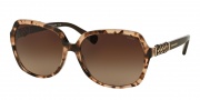 Coach HC8155Q Sunglasses L130 Sunglasses - 532213 Peach Tortoise/Dark Brown / Dark Brown Gradient