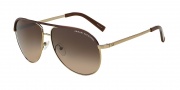 Armani Exchange AX2002 Sunglasses Sunglasses - 601013 Light Gold/Dark Brown / Dark Brown Gradient