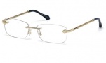 Roberto Cavalli RC0936 Eyeglasses Eyeglasses - 032 Gold