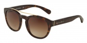 Dolce & Gabbana DG4274 Sunglasses Sunglasses - 502/13 Havana / Brown Gradient