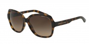 Armani Exchange AX4029S Sunglasses Sunglasses - 811713 Dark Tortoise / Dark Brown Gradient
