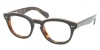 Polo PH2066P Eyeglasses