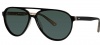 OGI Eyewear 8051 Sunglasses