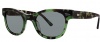 OGI Eyewear 8054 Sunglasses