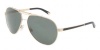 Dolce & Gabbana DG2105 Sunglasses