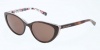 Dolce & Gabbana DG4202 Sunglasses