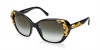 Dolce & Gabbana DG4167 Sunglasses