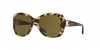 Ralph Lauren RL8108Q Sunglasses