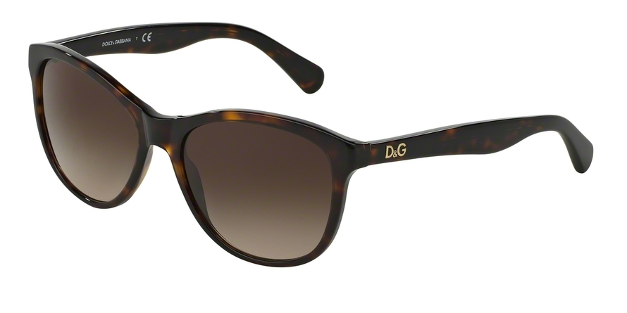 d&g goggles price